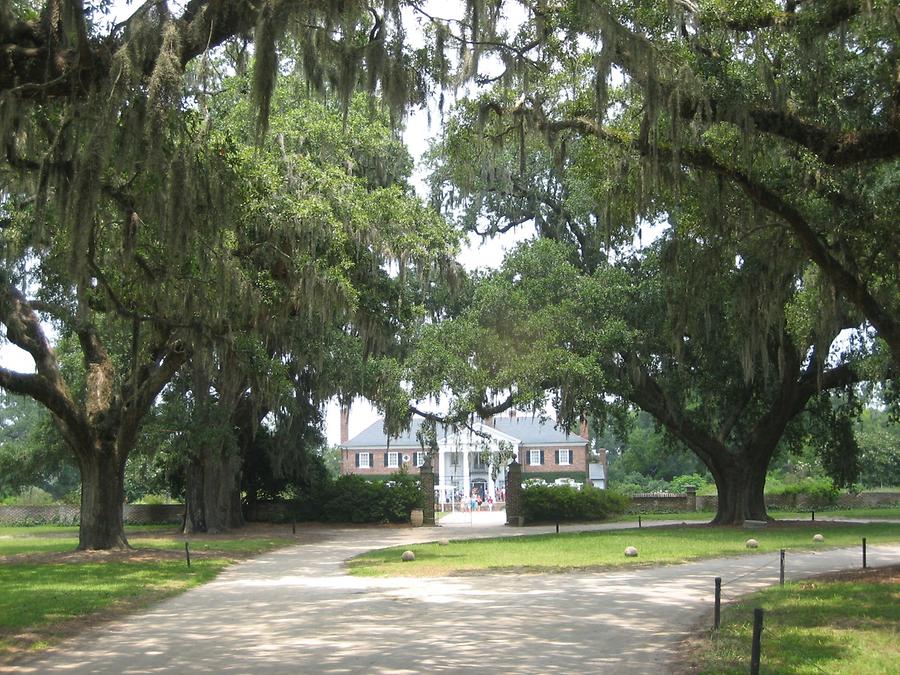 Mt. Pleasant Boone Hall Plantation