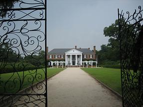 Mt. Pleasant Boone Hall Plantation (5)