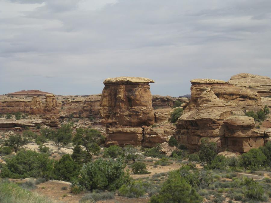 Canyonlands National Park Needles