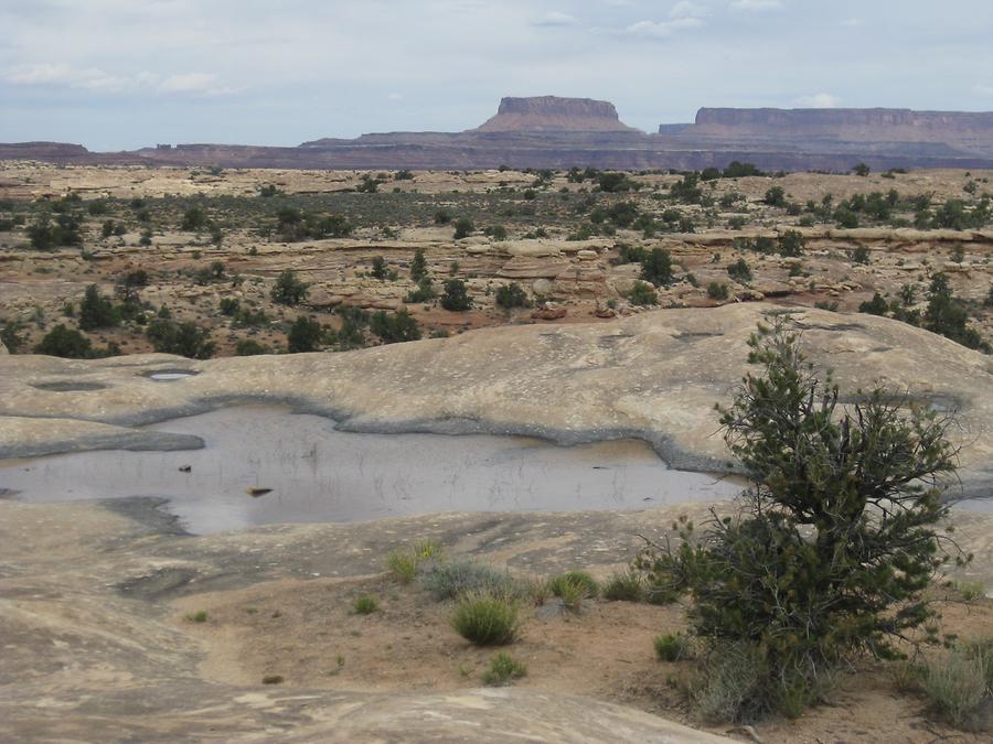 Canyonlands National Park Needles