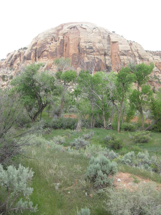 Canyonlands National Park Needles