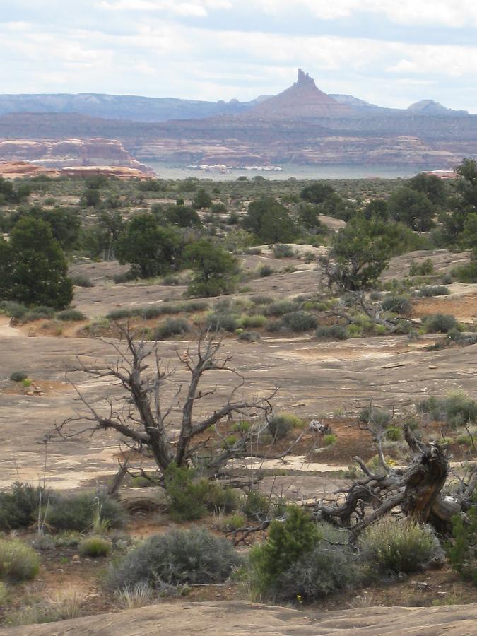 Canyonlands National Park Needles