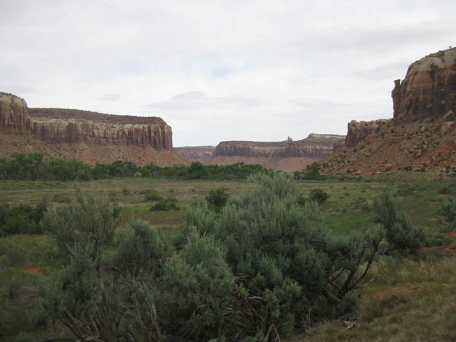 Canyonlands National Park Needles