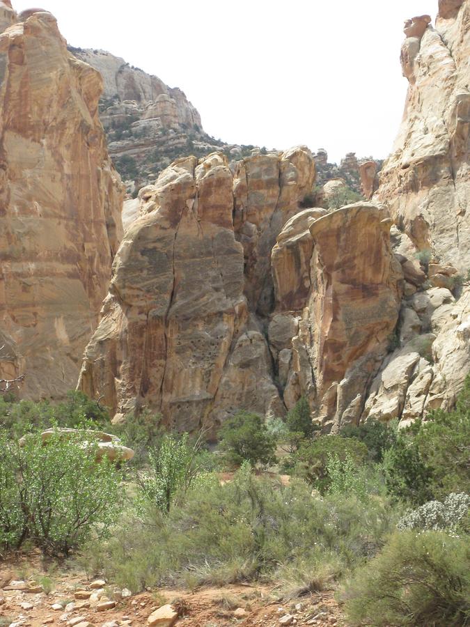 Capitol Reef National Park