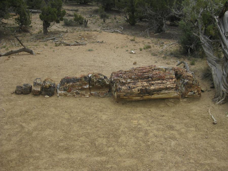 Escalante Petrified Forest State Park