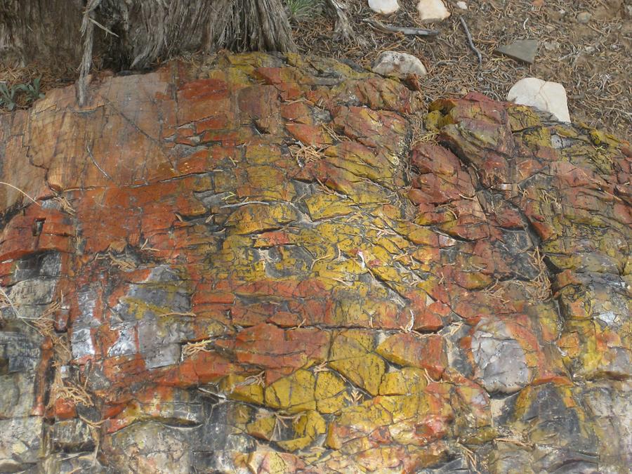 Escalante Petrified Forest State Park