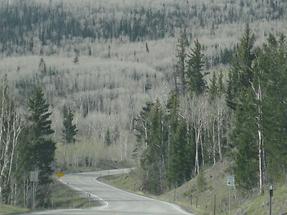 Highway 12 Scenic Route Torrey-Tropic (2)