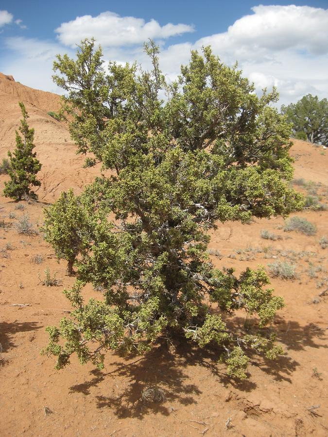 Kodachrome Basin State Park