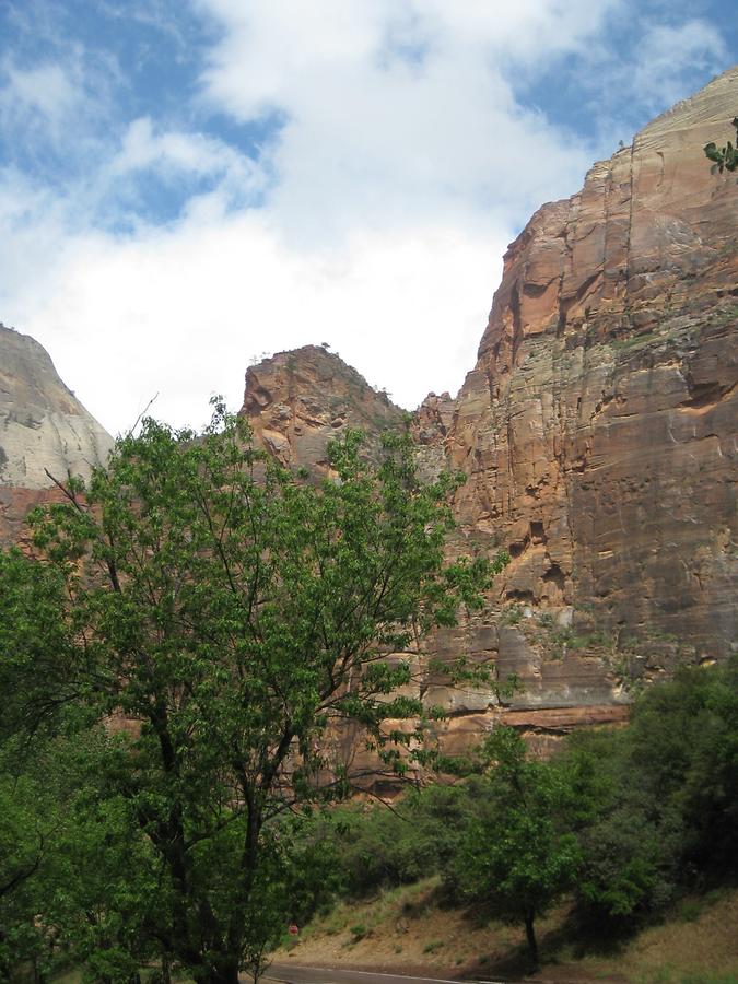 Zion National Park