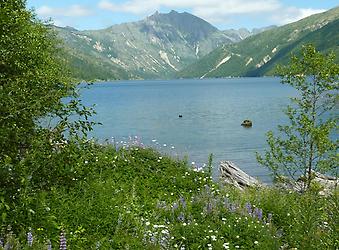 Mt. St. Helens