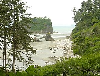 Strand Olympic Peninsula