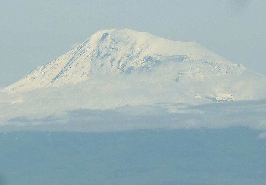 Ararat