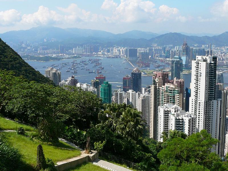 view of the city and the harbour