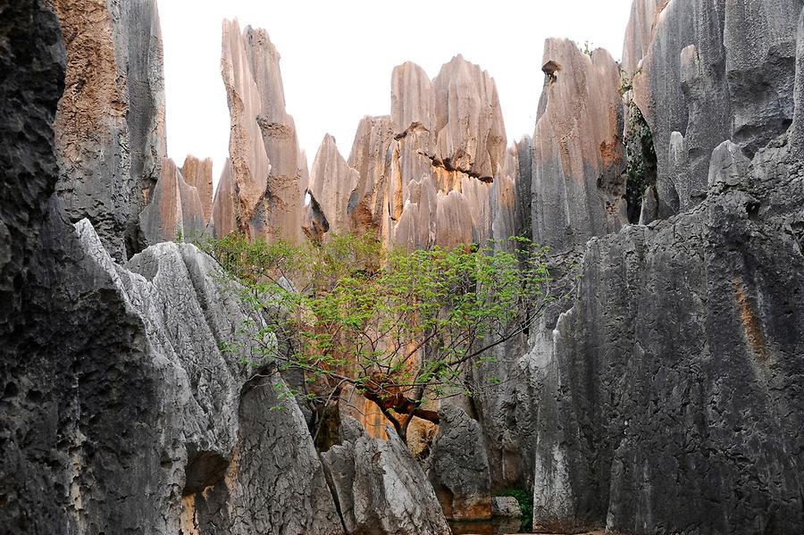 Shilin - Stone Forest