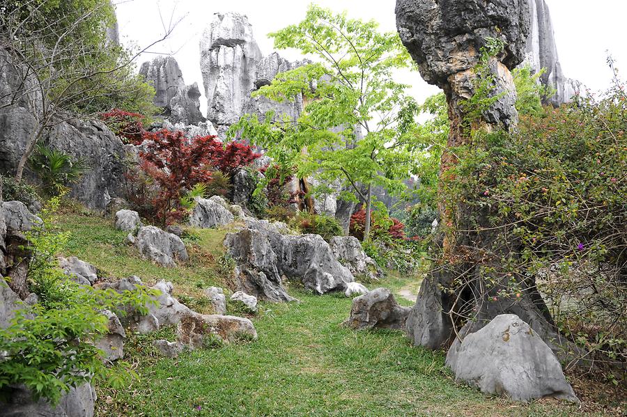 Shilin - Stone Forest