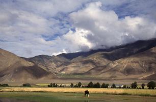 Tibet