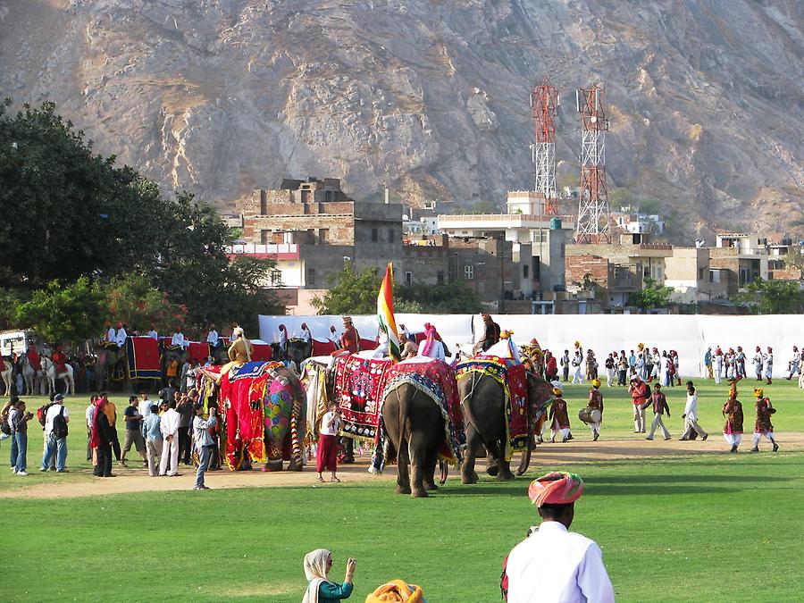 Elephant Festival