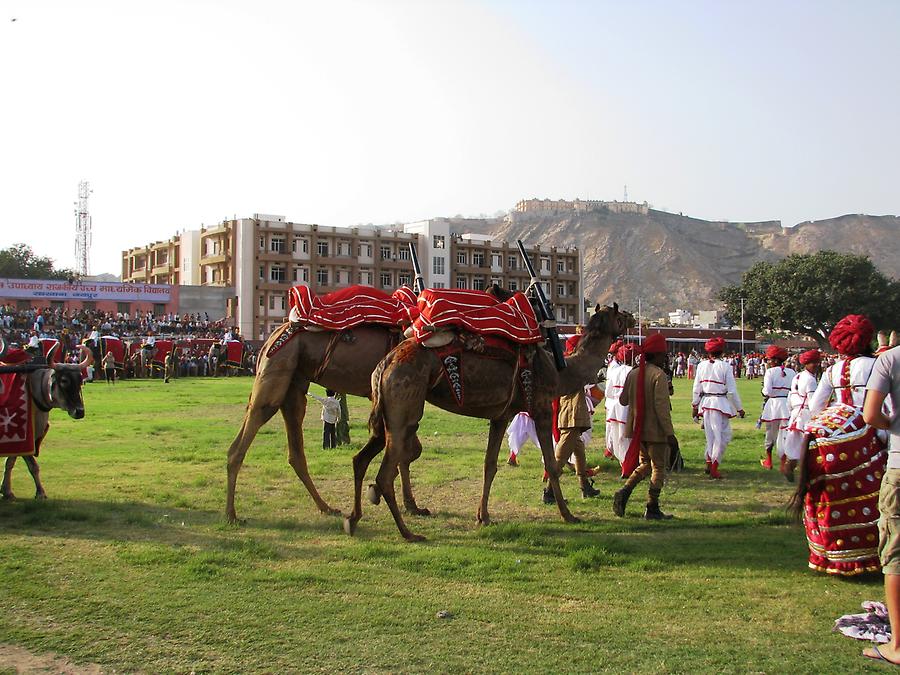 Elephant Festival