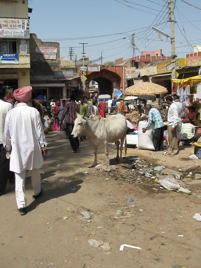 Marketplace in Chomu