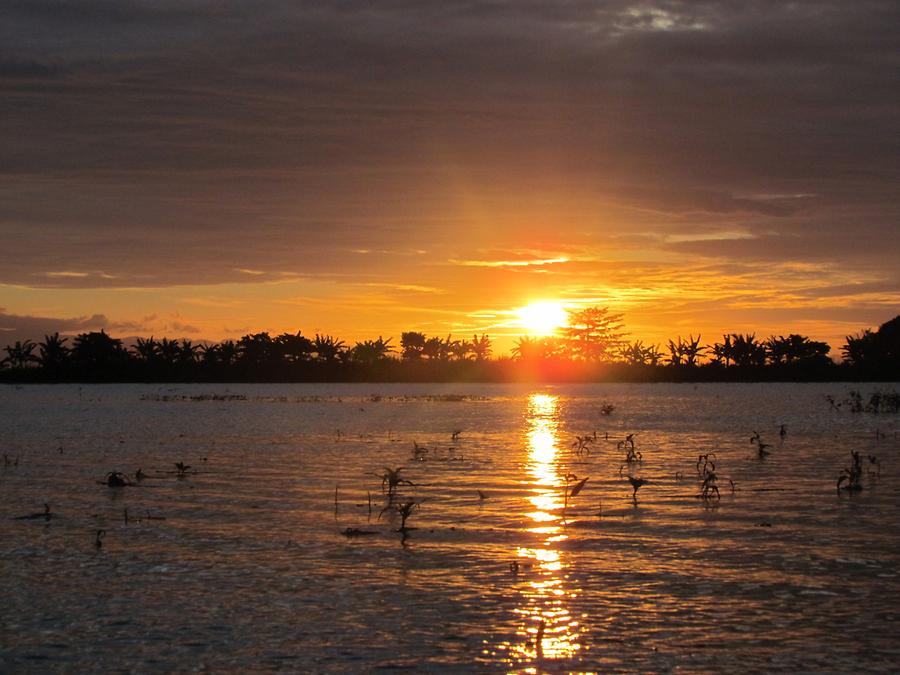 Lake Tempe - Sunset