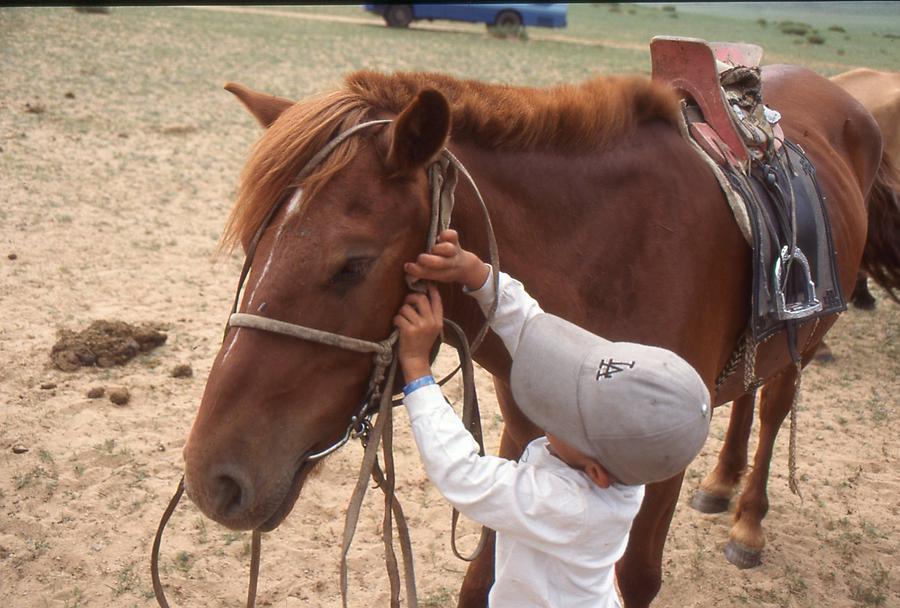 People and horses