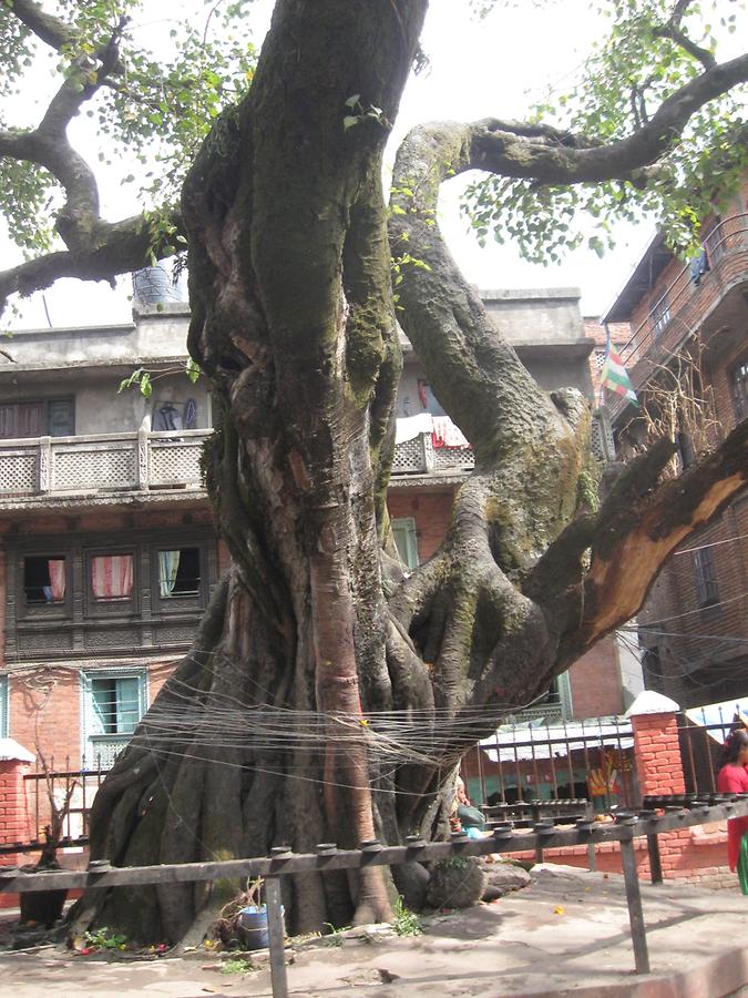 Patan Kumbheshwor Temple