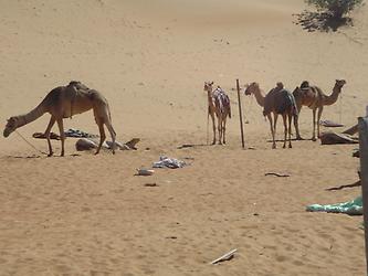 From Muscat into the desert