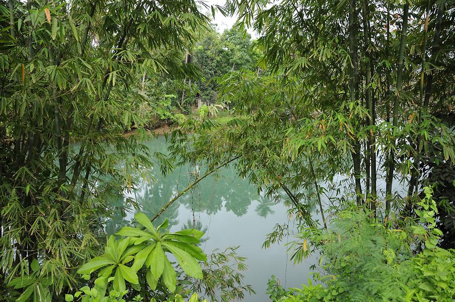 Loboc River