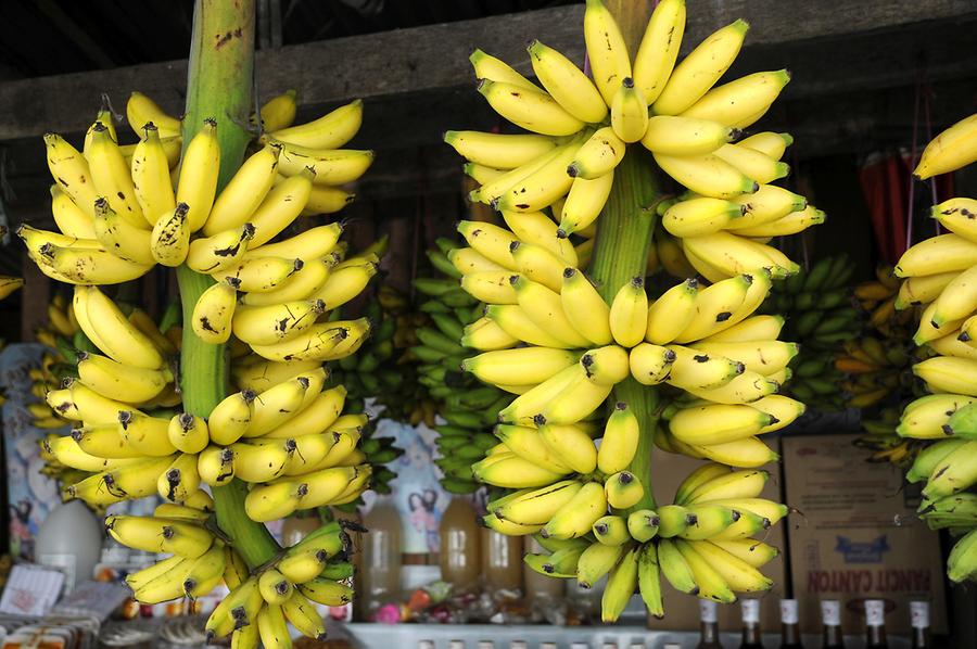 Bananas