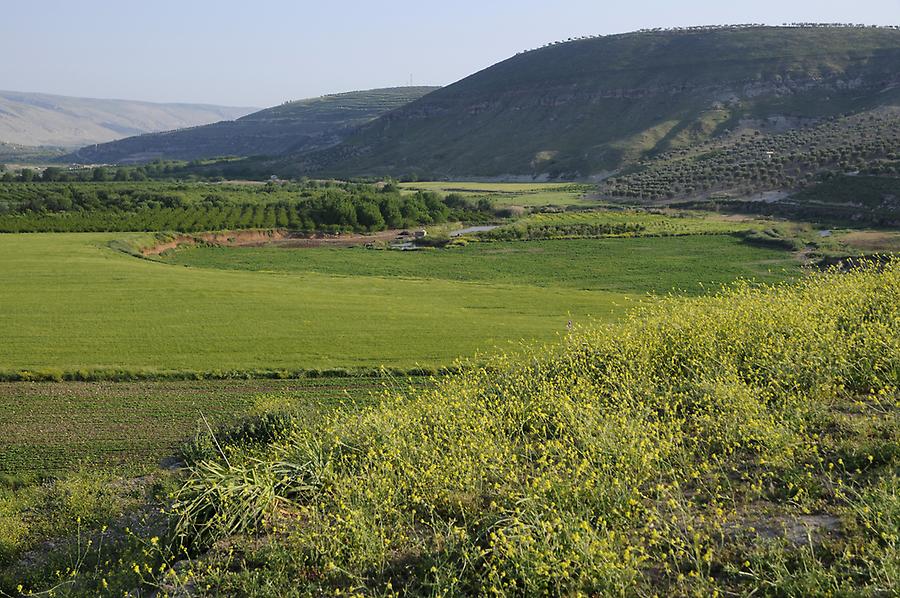 Landscape near Ain Dara