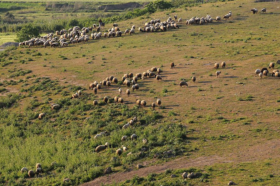 Landscape near Ain Dara