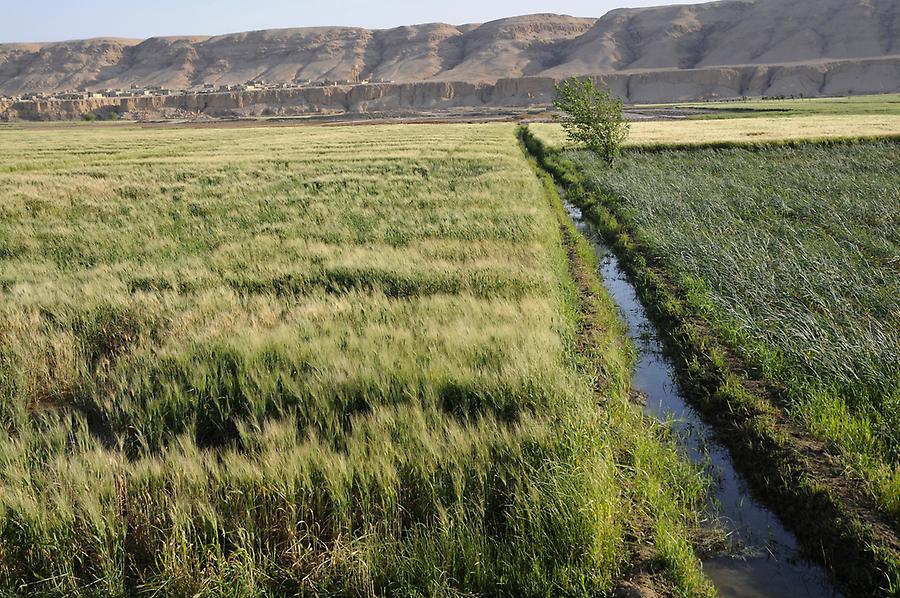 Landscape near Deir az Zur