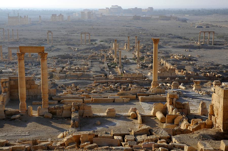 Palmyra