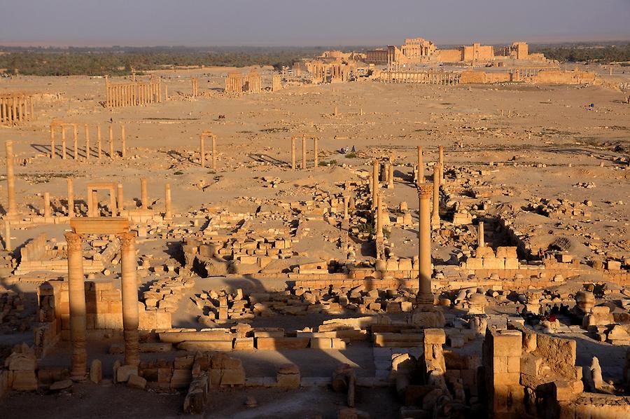 Palmyra