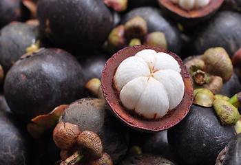 Mangosteen, Foto source: PixaBay 