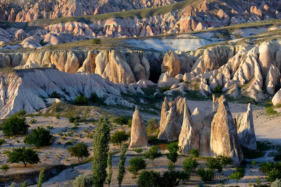 Valley of Roses