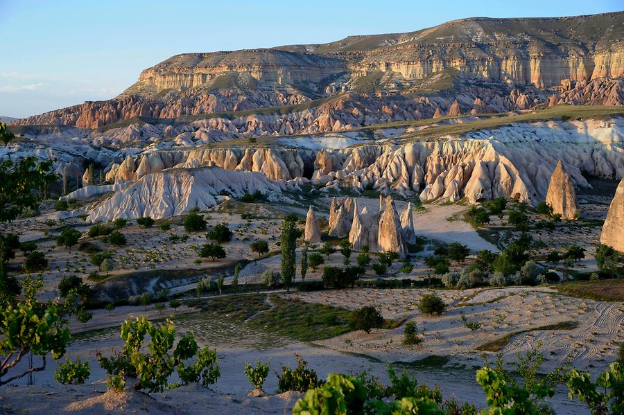 Valley of Roses