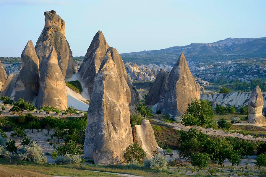 Valley of Roses