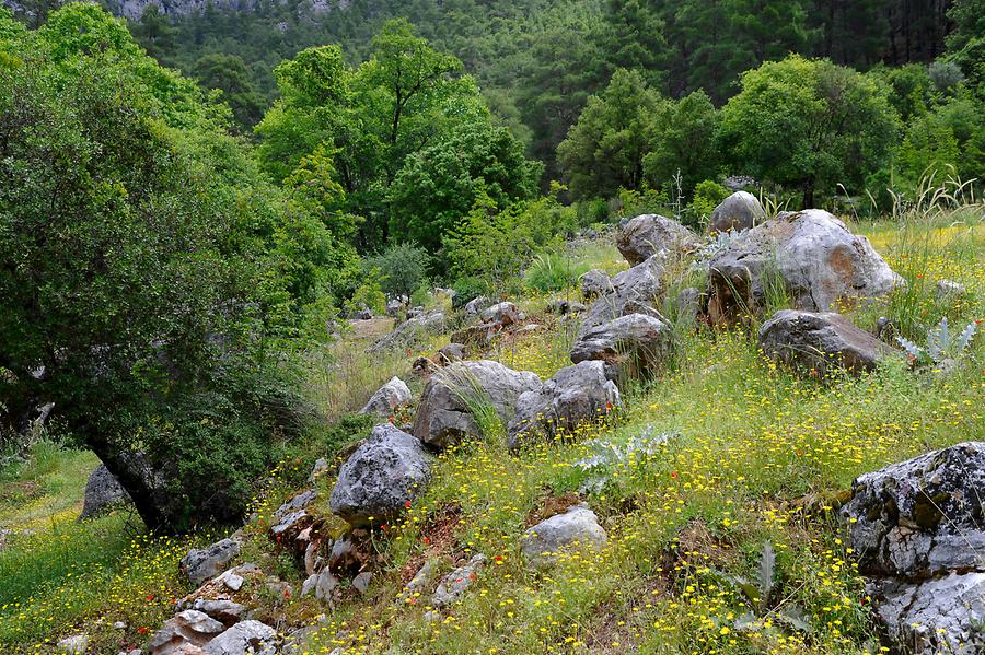 Yazili Canyon