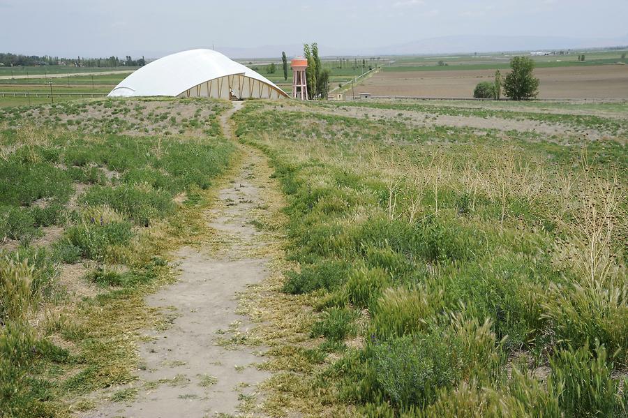 Catalhöyük