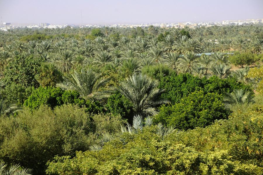 Al Ain Oasis