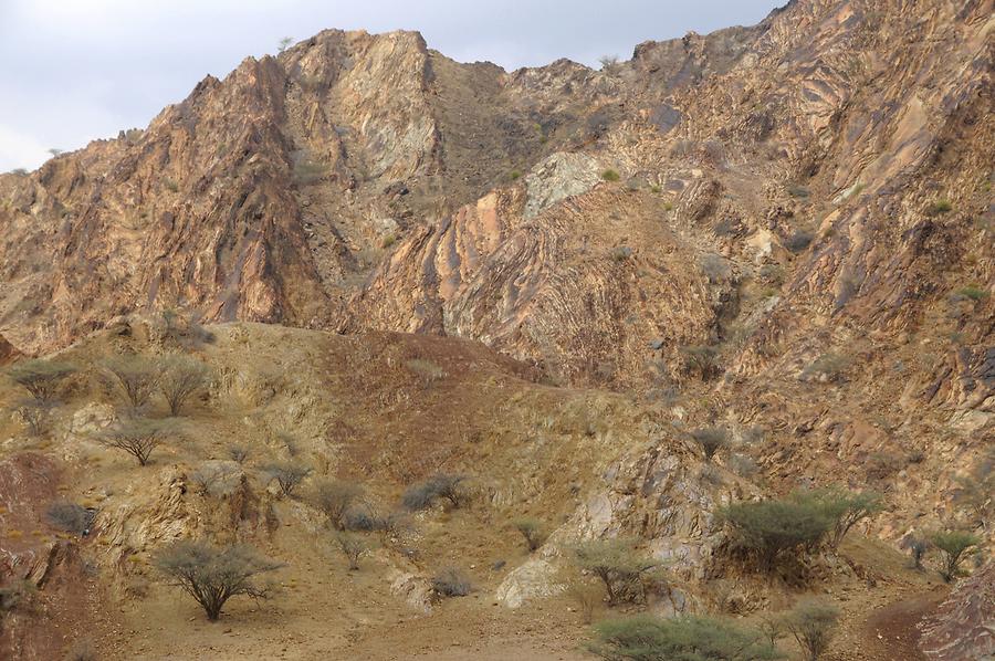 Wadi near Hatta