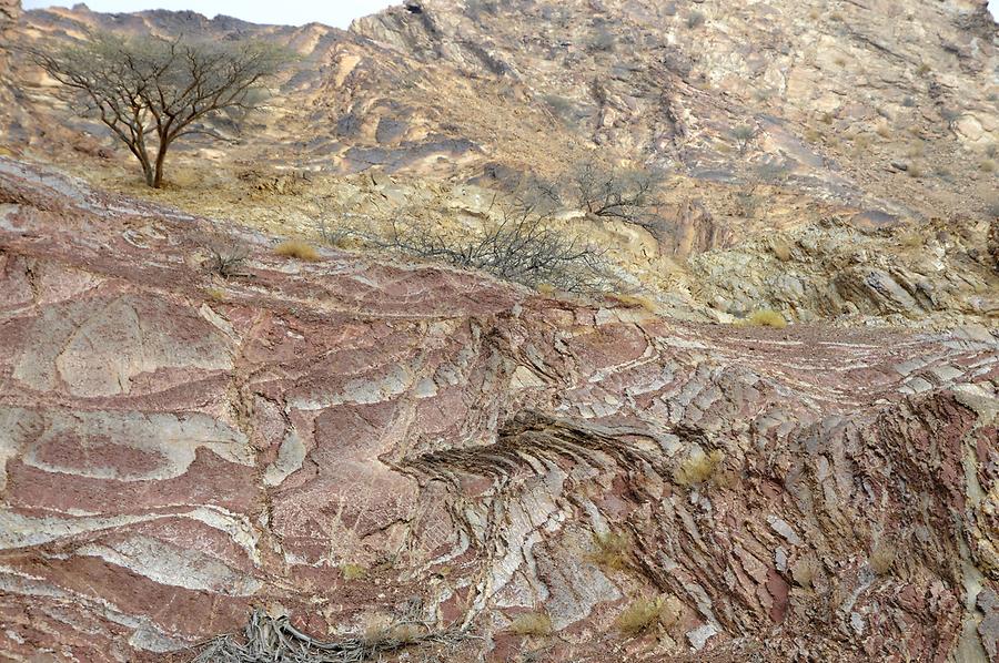 Wadi near Hatta