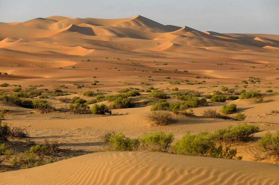 Desert near Qasr al Sarab