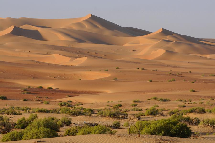 Desert near Qasr al Sarab