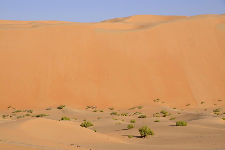 Heading for Qasr al Sarab