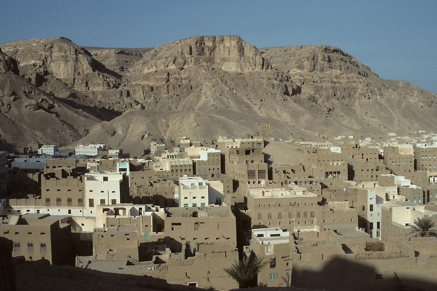 Tarim