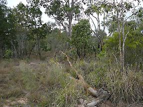 Atherton Tablelands