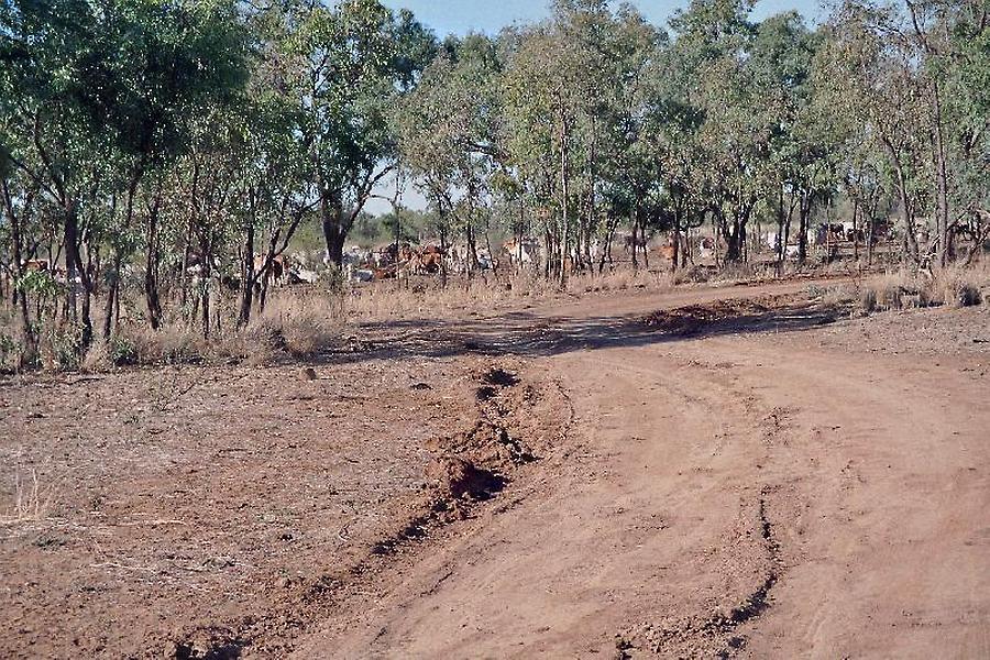 On the way to Burketown