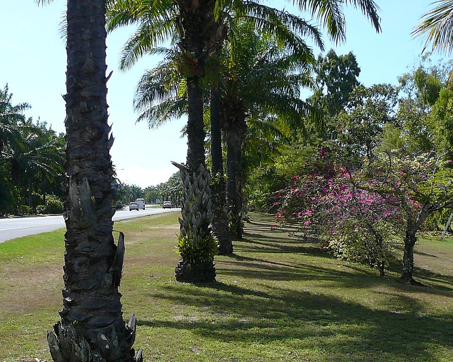 Port Douglas